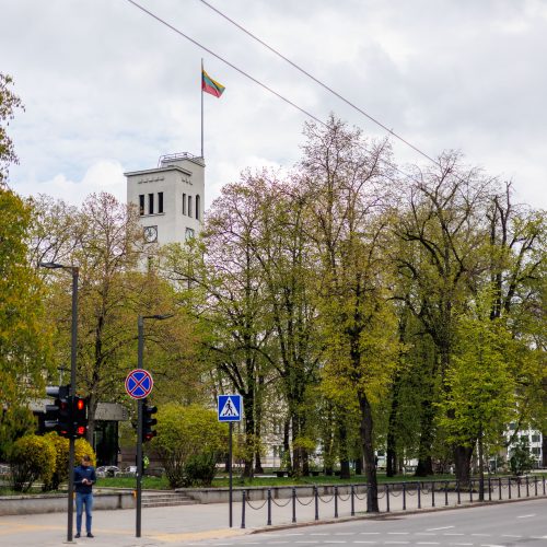 Kauno gėlynai  © E. Ovčarenko / BNS nuotr.