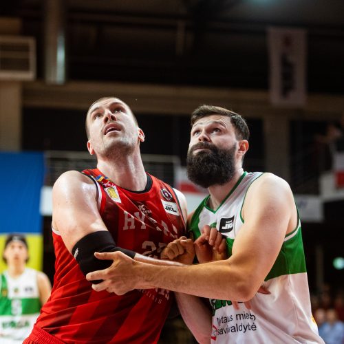 LKL ketvirtfinalis: Vilniaus „Rytas“ – Alytaus „Dzūkija“ 87:59  © Ž.Gedvilos/BNS nuotr.