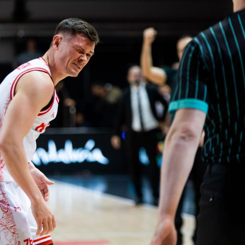 FIBA Čempionų lyga: „Rytas“ – „Bahcesehir Koleji“ 95:88  © Ž.Gedvilos/BNS nuotr.