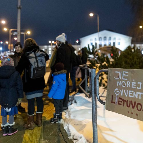 Žmogaus teisių gynėjai ir aktyvistai surengė protestą prieš deportaciją  © I. Gelūno/BNS nuotr.