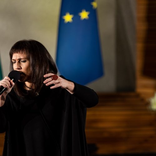 Vyriausybės kultūros ir meno premijų laureatų apdovanojimų ceremonija  © Ž.Gedvilos/BNS nuotr.