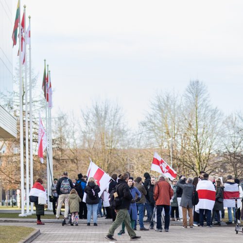 Baltarusijos nepriklausomybės dienos minėjimas Vilniuje  © L.Balandžio / BNS nuotr.