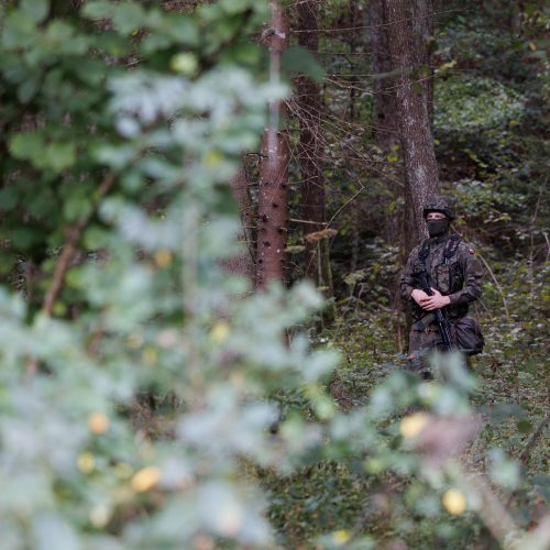 Lietuvos, Lenkijos ir Baltarusijos pasienis  © E. Ovčarenko / BNS nuotr.