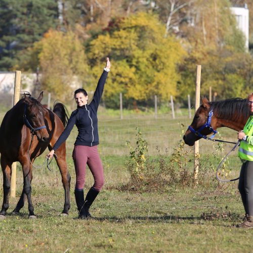 Žemaitukų varžybos  © Kauno rajono savivaldybės nuotr.