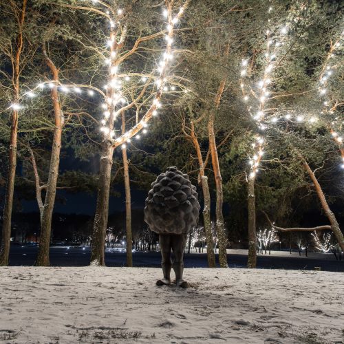 Kauną apgaubė kalėdinė magija  © Regimanto Zakšensko nuotr.