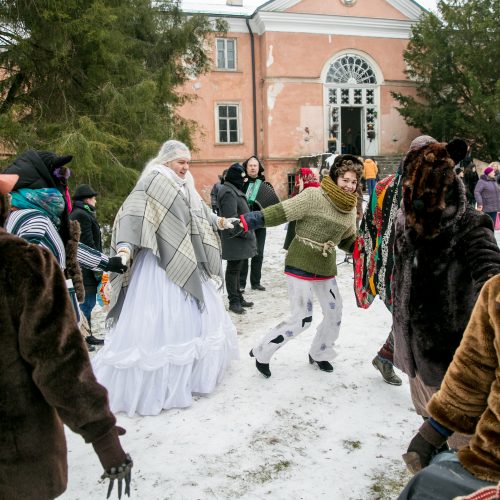 Užgavėnėse Botanikos sode - 100 blynų Lietuvos šimtmečio proga  © Vilmanto Raupelio nuotr.