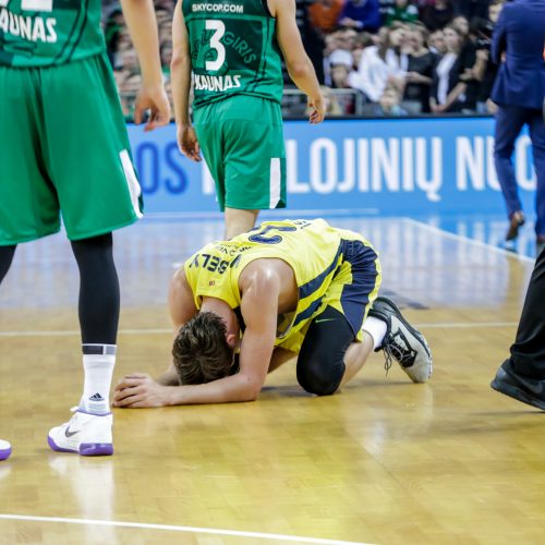 Kauno „Žalgiris“ - Stambulo „Fenerbahce“  © Vilmanto Raupelio nuotr.