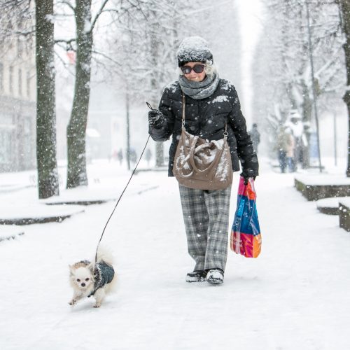 Gausus sniegas Kaune  © Vilmanto Raupelio nuotr.