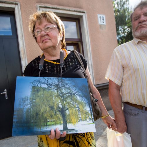 Protestas Miško gatvėje dėl kertamų medžių   © Vilmanto Raupelio nuotr.