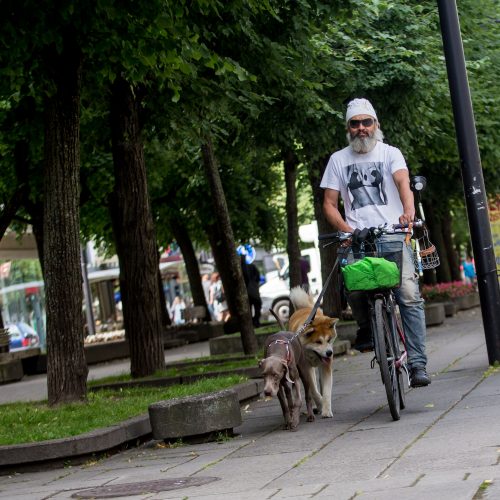 Žvilgsnis į Laisvės alėją  © Vilmanto Raupelio ir Akvilės Snarskienės nuotr.