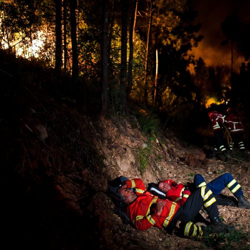 Miško gaisrai Portugalijoje  © Scanpix nuotr.