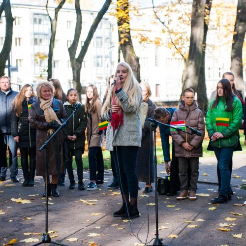 Vengrijos revoliucijos metinės  © Akvilės Snarskienės nuotr.