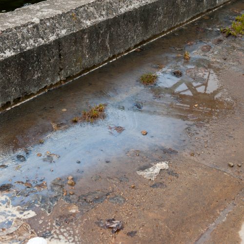 Į Nemuną tekantys teršalai  © Akvilės Snarskienės nuotr.