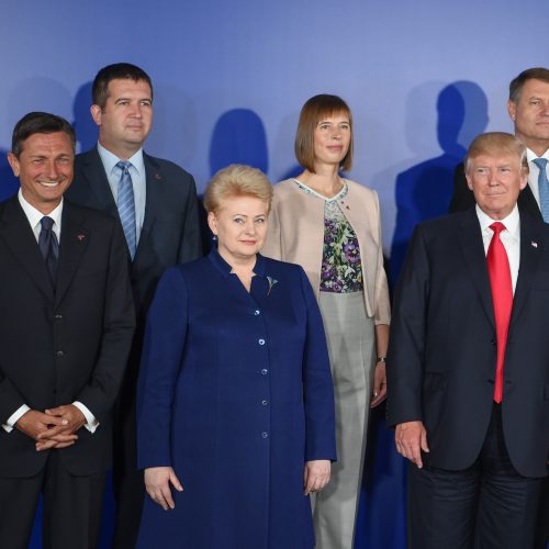 Prezidentės susitikimas su D. Trumpu  © R. Dačkaus/ Prezidentūros nuotr.