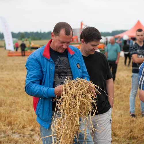 Kauno rajone – javapjūtės pradžia  © Akvilės Snarskienės nuotr.