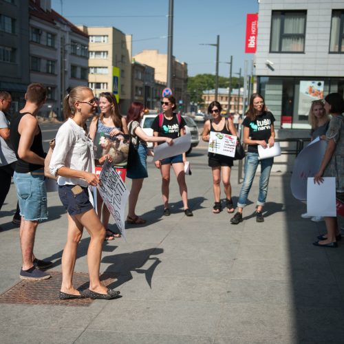 Vištų gynėjų protestas Kaune  © Akvilės Snarskienės nuotr.