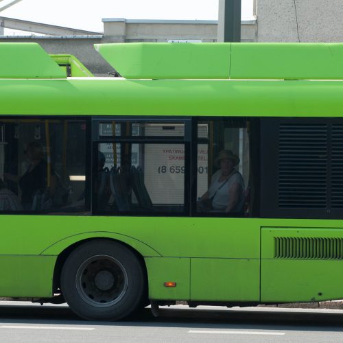 Vištų gynėjų protestas Kaune  © Akvilės Snarskienės nuotr.