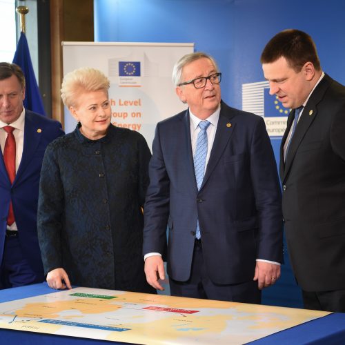 Baltijos šalys sutarė dėl elektros tinklų sinchronizacijos  © R. Dačkaus / Prezidentūros nuotr.