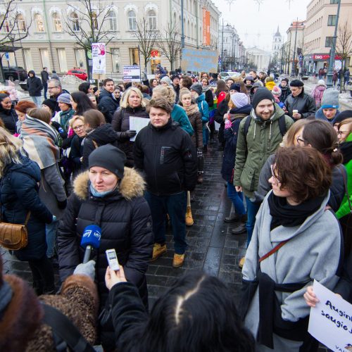 Vilniuje – eitynės prieš smurtą  © K. Kavolėlio / BFL nuotr.