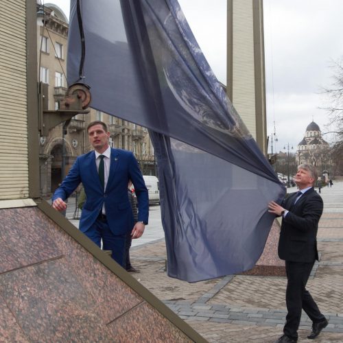 Prie Seimo pakelta Žemės vėliava  © V. Skaraičio / BFL nuotr.