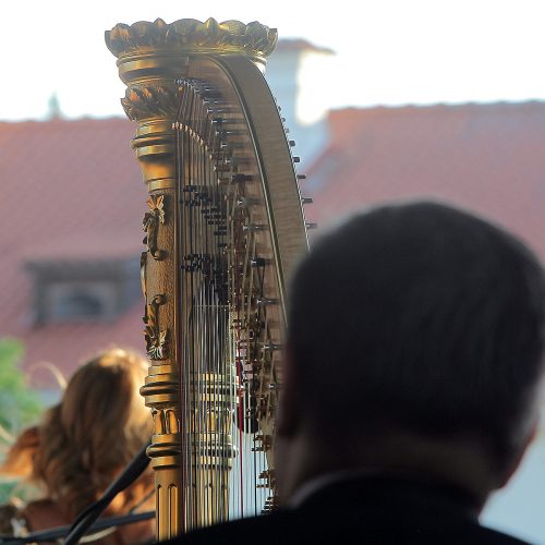 Pažaislio muzikos festivalio pradedamasis koncertas  © Evaldo Šemioto nuotr.