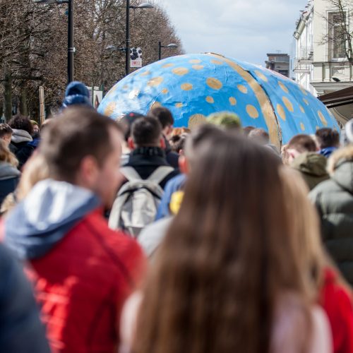 Studentai per Laisvės alėją rideno margutį  © Vilmanto Raupelio nuotr.