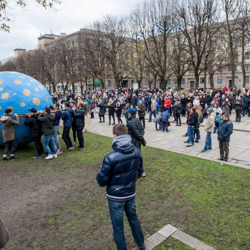 Studentai per Laisvės alėją rideno margutį  © Vilmanto Raupelio nuotr.