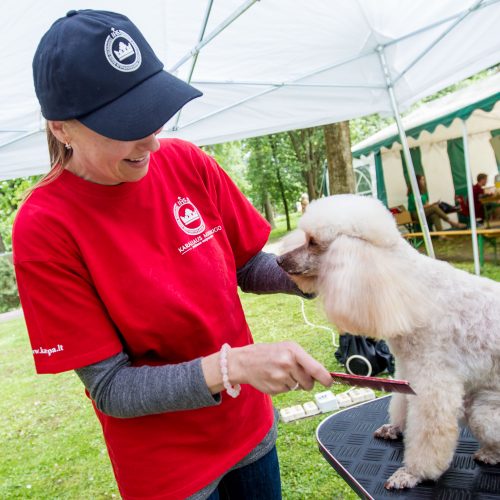 Gyvūnų prižiūrėtojo diena zoologijos sode  © Vilmanto Raupelio nuotr.