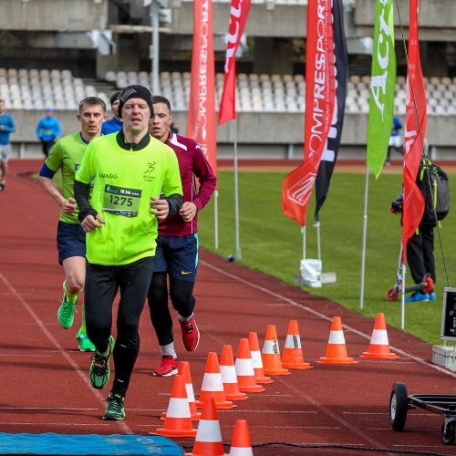 „Ąžuolyno bėgimas 2017“  © Vilmanto Raupelio nuotr.