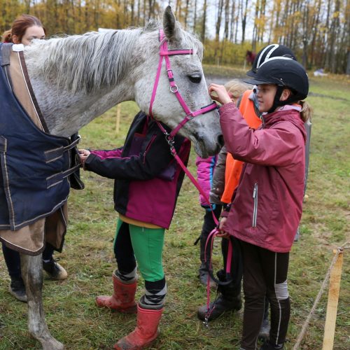 Legendinių žemaitukų lenktynės  © Kauno rajono savivaldybės nuotr.