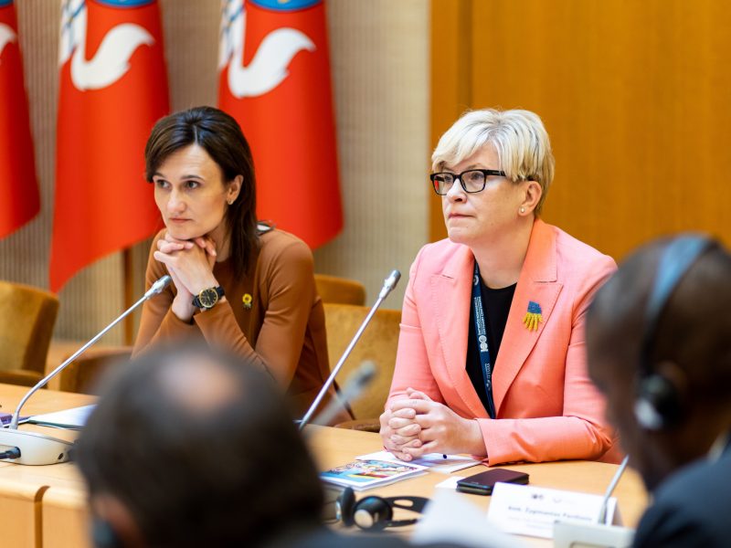 Seimo pirmininkė: pasitikėjimas koalicijoje – sušlubavęs, bet reikia tęsti darbus