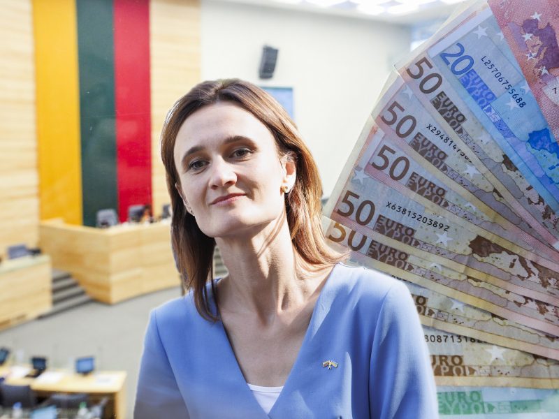 V. Čmilytė-Nielsen: NPD ir MMA sulyginimo galima siekti iki kadencijos pabaigos