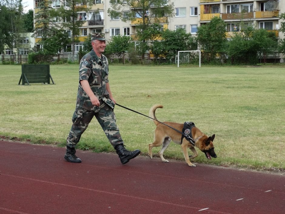 Tarnybinių šunų čempionate triumfavo belgų aviganis Grikis