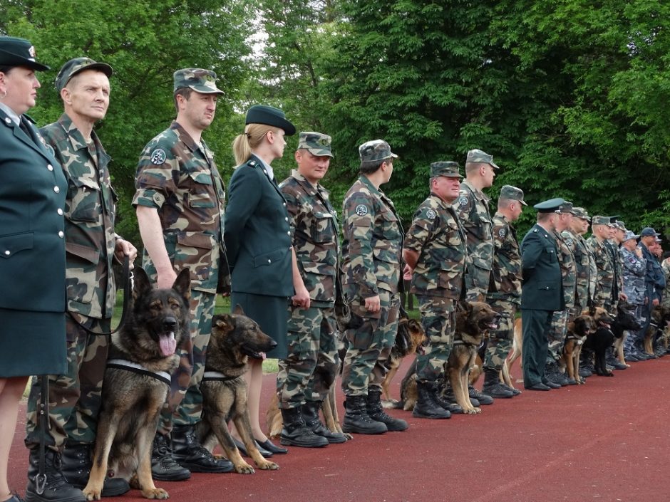 Tarnybinių šunų čempionate triumfavo belgų aviganis Grikis