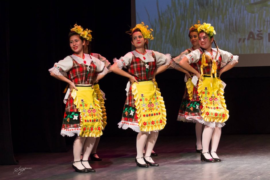 Folkloro festivalis „Aš pasiejau vėina popā“ džiugino gausiu derliumi