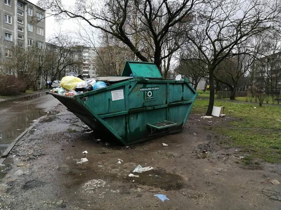 Šiukšlių konteineryje rastos kalytės šeimininkė įtariamąjį įvardijo nedvejodama