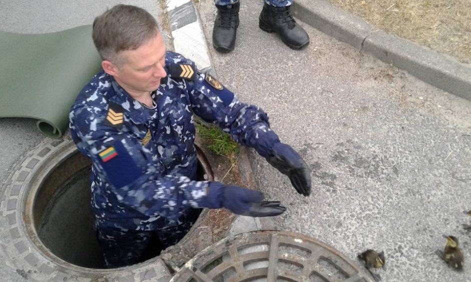 Kilnus poelgis: kariai išgelbėjo į šulinį įkritusius ančiukus