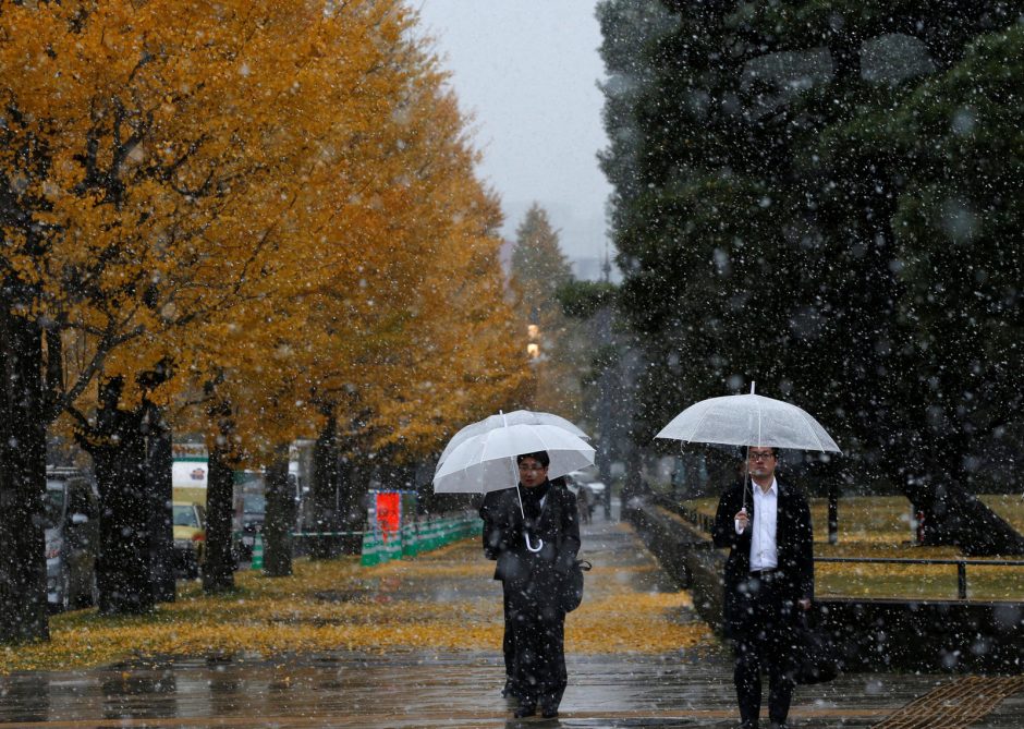 Tokijuje pirmą kartą per 54 metus lapkritį iškrito sniegas