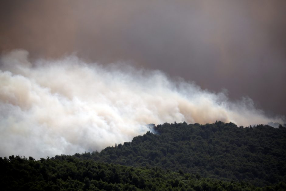 Atėnus apgaubė didelio miškų gaisro dūmai