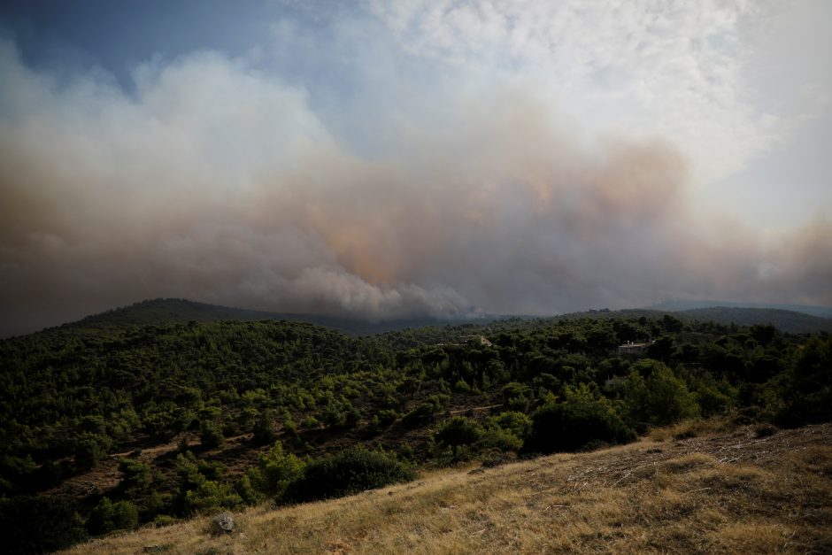 Atėnus apgaubė didelio miškų gaisro dūmai