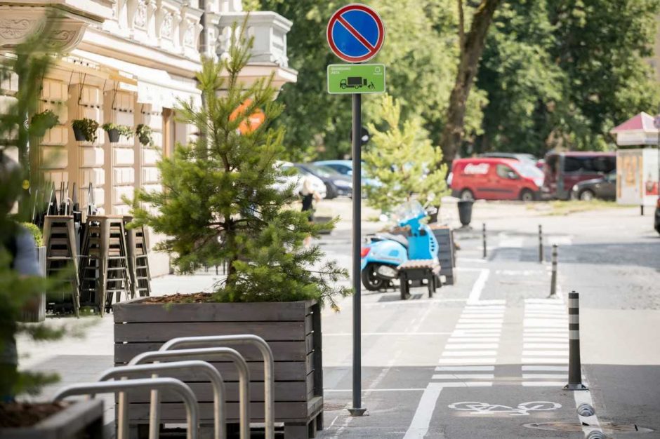 Vilnius: Islandijos gatvėje sužaliavo pušaitės