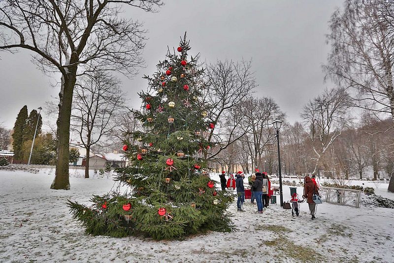 Kalėdų eglėje – 25 tūkst. įvairiausių gyvių