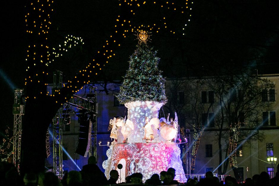 Kauno eglės skaičiuoja paskutines dienas