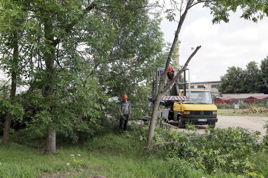 Klaipėdoje pradės dygti naujasis komisariatas