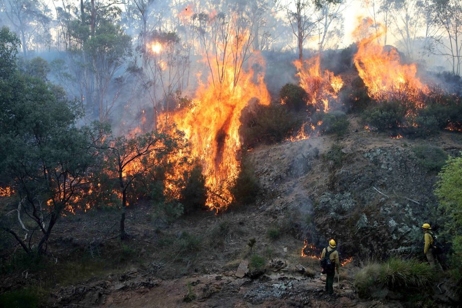 Pietų Australijoje žaibai sukėlė per 100 krūmynų gaisrų