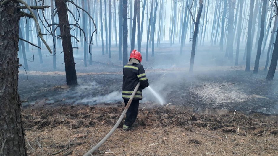 Ukrainos rytuose miškų gaisrai apsiautė 11 gyvenviečių