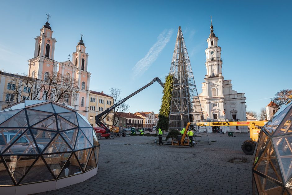 Kalėdinė eglutė Kauno Rotušės aikštėje įgauna formą