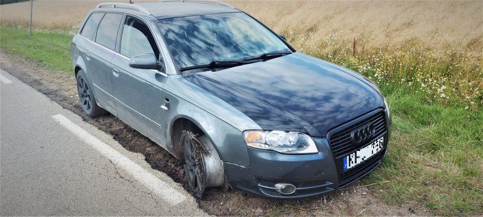 Pasieniečiai po persekiojimo Šalčininkų rajone sustabdė neblaivų vairuotoją