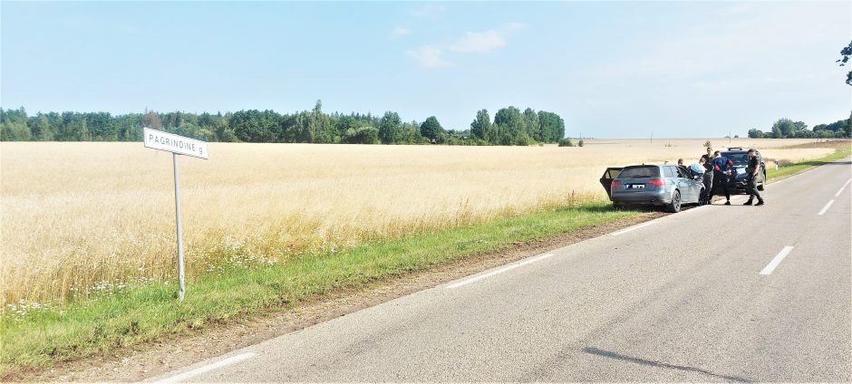 Pasieniečiai po persekiojimo Šalčininkų rajone sustabdė neblaivų vairuotoją