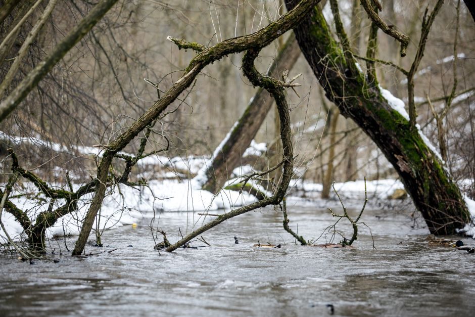 Švenčionių rajone dingusio vyro kūnas rastas upelyje